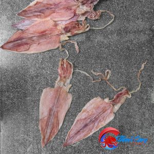 Khô mực câu Quảng Bình