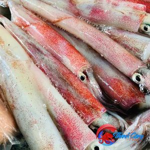 Mực ống mi nơ size 3-5 con