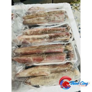 Mực ống mi nơ hút chân không